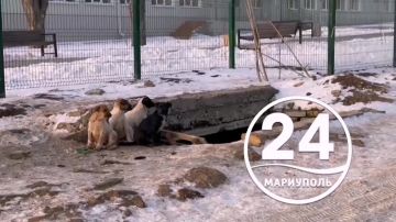 ���� ������������ ����� ������� ���������� � ���������