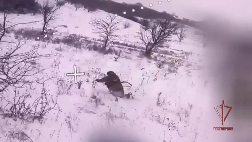 ����� ���������� ��������������� ���������� FPV-������ �������� ��������� ������� ���������� ������ �������� ��� �� ����������� �����������