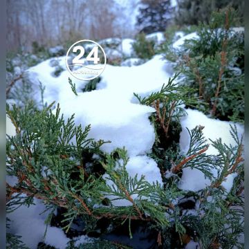 С добрым утром, Мариуполь!