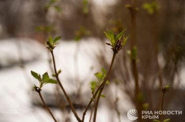 Погода на новых территориях России