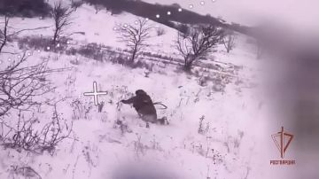 Кадры очередного результативного применения FPV-дронов донецкой «стальной» бригады Росгвардии против боевиков ВСУ на харьковском направлении