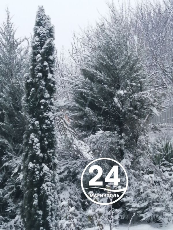 � ������ �����, ���������!