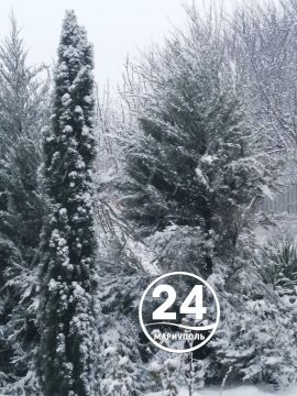 С добрым утром, Мариуполь!