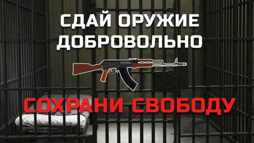 Сдай оружие добровольно. Сохрани свободу!