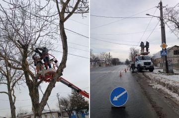 ����� �������: ���� ���������� ������������ �������� ��������� ����� �����������