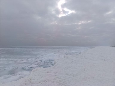 ��������� ������ ������� �� ������ � ���: ���������� ������� ������� ������������� � �������� ����