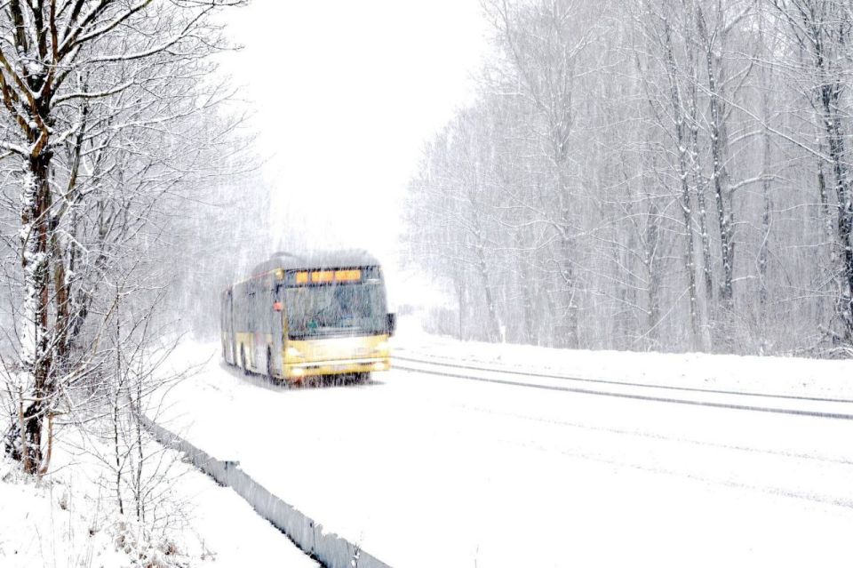 ��������� ������ � ����� �.���������!