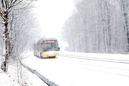 ��������� ������ � ����� �.���������!