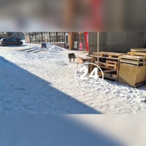 �� ������������� ����� - ��������� �����