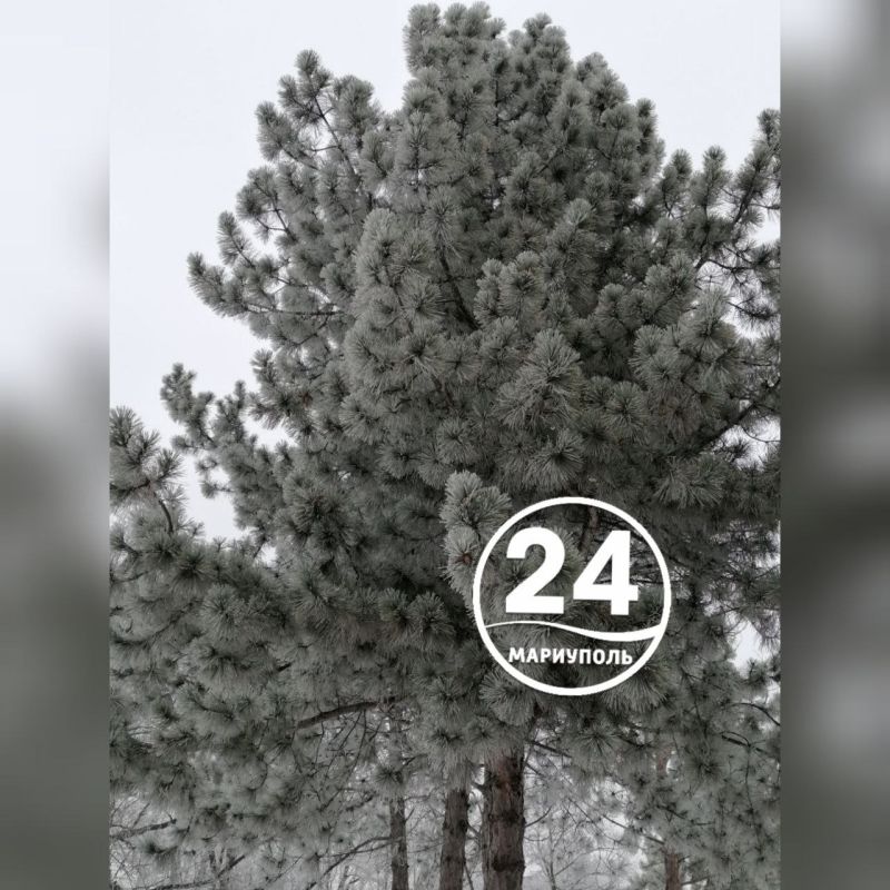 � ������ �����, ���������!