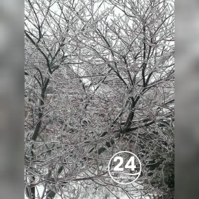 ������� ��������� ������ � ����������� ���������