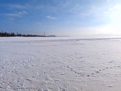 ������� ���� ������ ����� � ���������