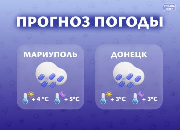 ������� ������ �� 13 �������