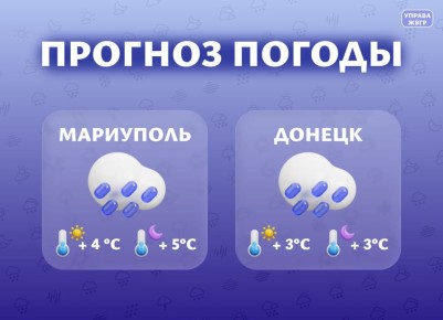 ������� ������ �� 13 �������