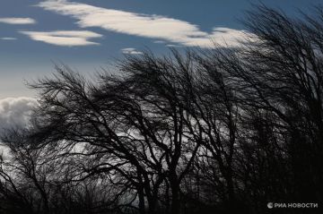 ������ �� ����� ����������� ������