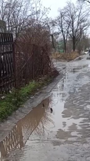 ������� ��������, ��� ������� - ���� ������� ���� � ������