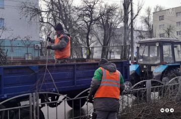 Зеленые зоны Мариуполя освобождают от растительного мусора