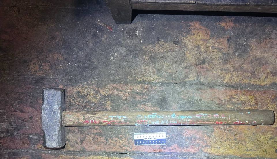 Житель Мариуполя забил племянницу кувалдой после бытовой ссоры