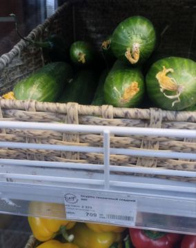 ������ ������ �� ��������� ��������� �������� � ���������