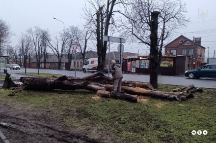 Мариупольские коммунальщики оперативно ликвидировали аварийную ситуацию