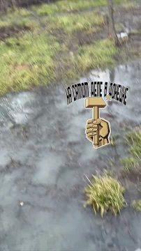 #��������. �.��������� � ����� ����������� ����� ������ �����