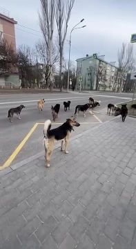 ������ ��������� �������� ��� �� ���� ����� �� ���������