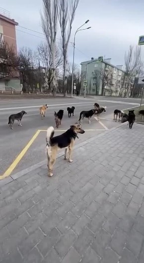 ������ ��������� �������� ��� �� ���� ����� �� ���������