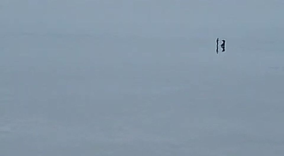 ������������� �������� ���������� �� ��������� ���� � ���������