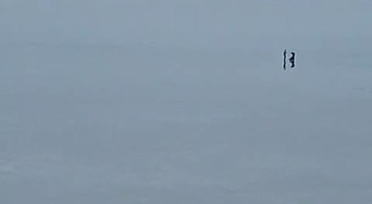 ������������� �������� ���������� �� ��������� ���� � ���������