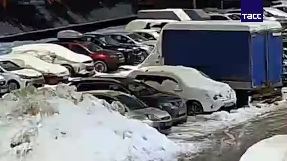 ��� ������������ �����, �� ������� ���� �� ������������� � ������������ ������� ������ ������������������� ����������� �������� ����������� ��� ��� ���������� � ����������