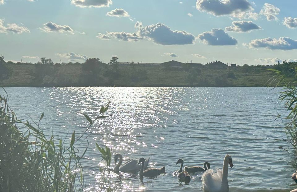 В Мариуполе экологи фиксируют подъем воды в реках из-за осадков