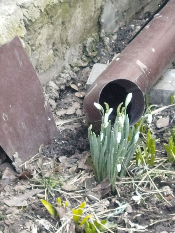 � ��������� ����� �������� �����������