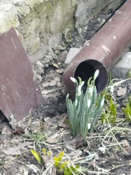 � ��������� ����� �������� �����������