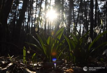 Погода на новых территориях России