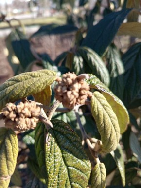 ����� ������ ������. �� ���� ��� ������ ���������� �� ����� � ����� "�������"