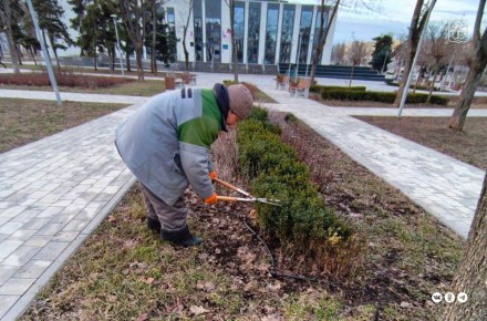 В зеленых зонах Мариуполя коммунальщики проводят формовочную обрезку кустарников