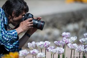 Погода на новых территориях России