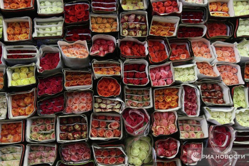 ��������� ����� 8 ����� ������� ���� � Telegram, ��� ���������� ������� ������ �����, ������ ���������� �, ������� ��, ������ ��������� ������, ������������ � �����������