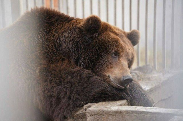 В Мариупольском зоопарке сразу два радостных события
