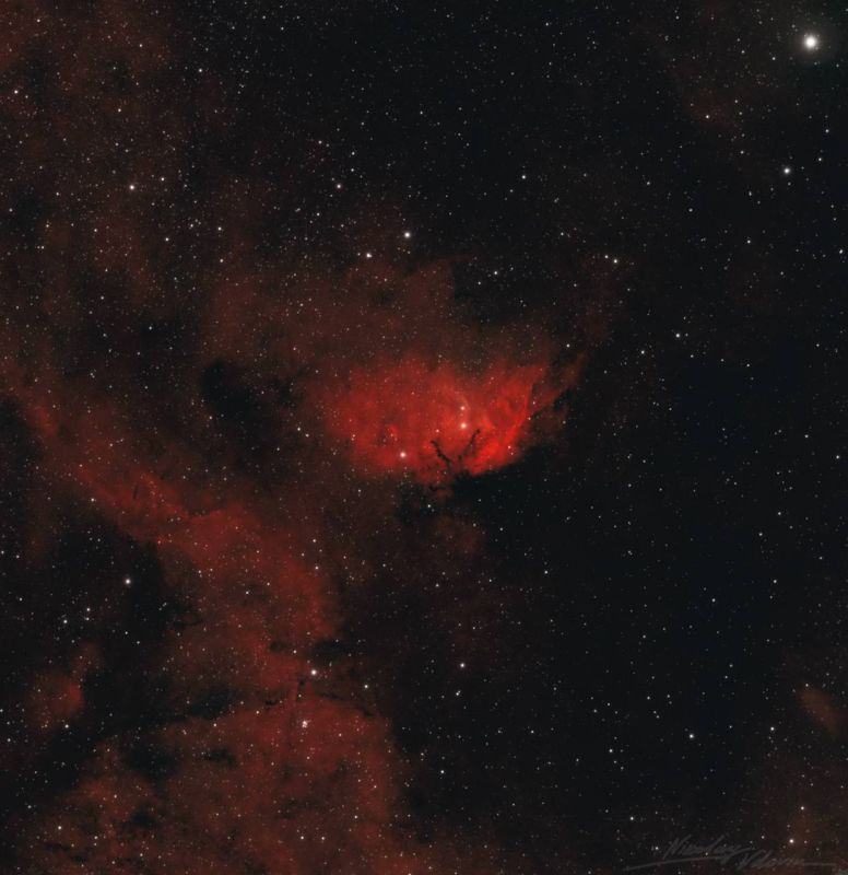 "Роскосмос" показал космические цветы к 8 марта