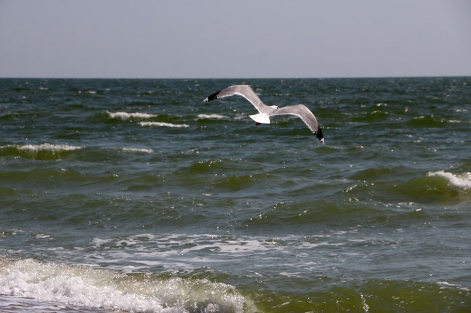 Между Широкино и Безыменным проектируют гостиницы, санаторий, аквапарк и винодельню