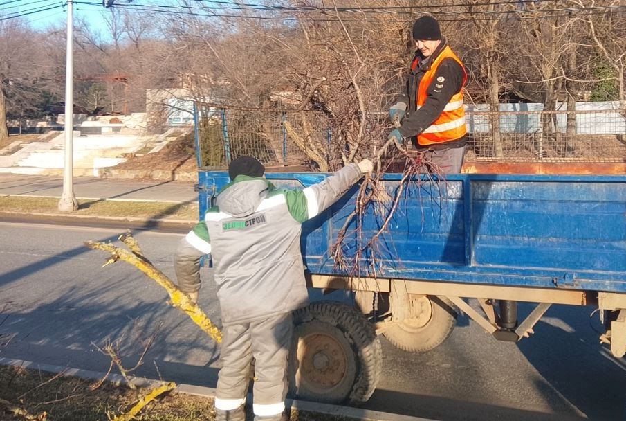 Приморский бульвар Мариуполя коммунальщики освободили от растительного мусора