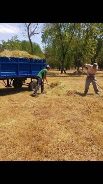 ��� ���� �������: ��� ������� ����������� ���������