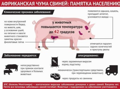 � ����� �������������� ��������������� �������� �������� �������� ����������� � �������� �������������, � ����� ������������ ������������� ����������������� ������ ���� � ����������� ���� ������