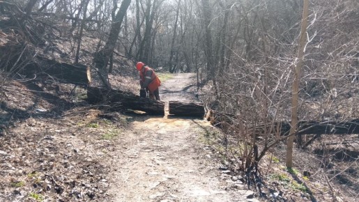 ������������� ���������� ������ ��������� ������ � ���������� �����