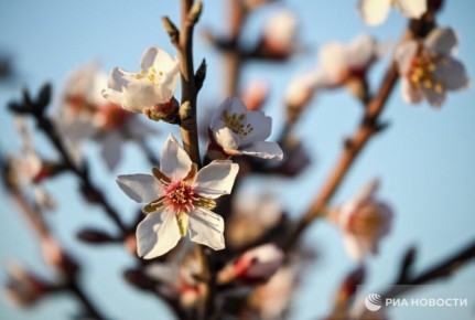 ������ �� ����� ����������� ������