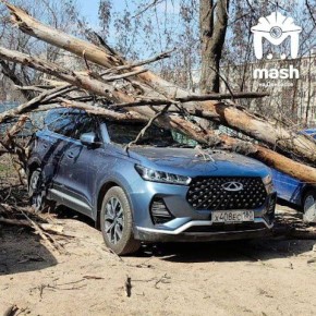 ����� ������ ���� ����� ������� � ������� � ���������