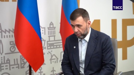 Российские силы ведут бои у Нового Донбасса и Белицкого к востоку и юго-востоку от Доброполья ДНР, сообщил глава республики Денис Пушилин в интервью ТАСС