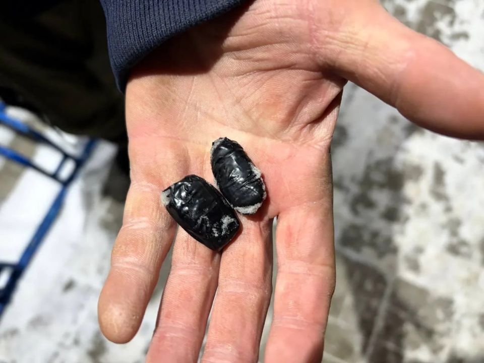 В Новоазовском м.о. полицейские задержали жителя Мариуполя за хранение наркотиков