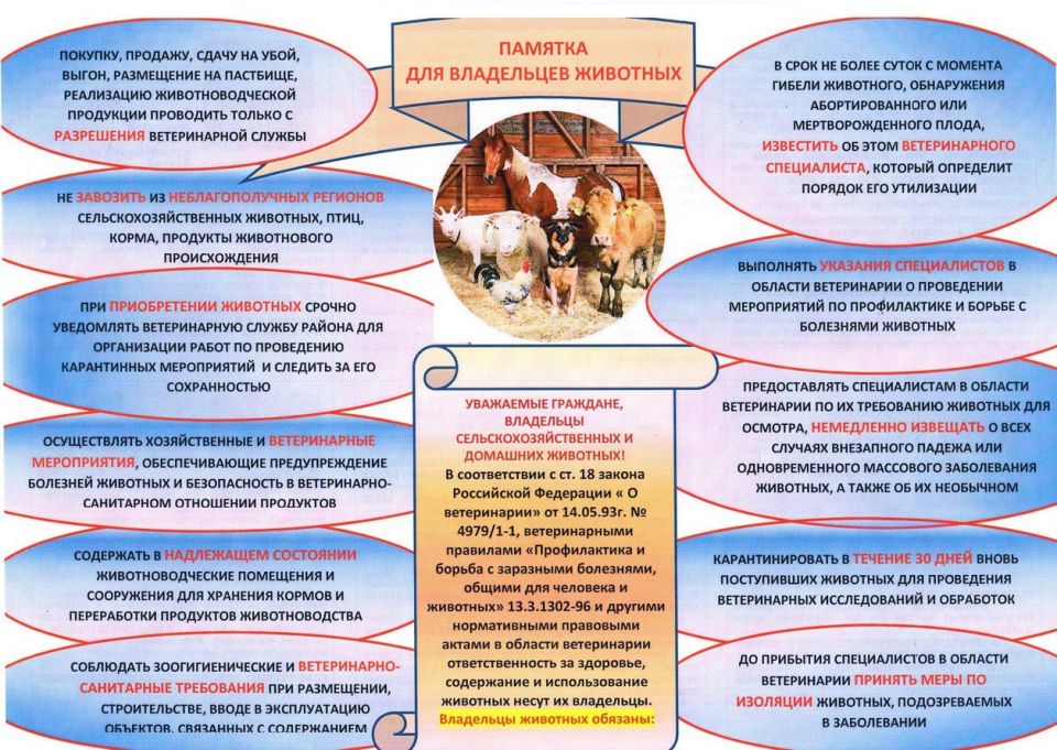 �������� ���������� ������ ��������!